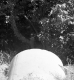 Weigel Property, Men at Culvert Outlet