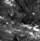 Weigel Property, Washout in Forest