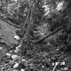 Weigel Property, Washout in Forest