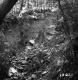 Weigel Property, Washout in Forest