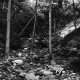 Weigel Property, Washout in Forest