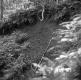 Weigel Property, Washout in Forest