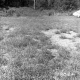Weigel Property, Grassy Field