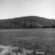 Weigel Property, Field and Forested Hills