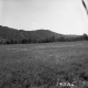 Weigel Property, Field and Forested Hills