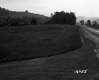 Ford Property, Barns in Field