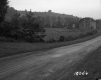 Ford Poultry Farms