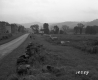 Ford Poultry Farms