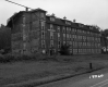 Ford Poultry Farms