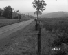 Ford Property, Farm Fields