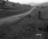 Ford Property, Farm Fields