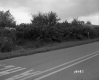 Dawson Property, Trees and Shrubs along Highway
