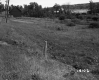 Tarbox Property, Barn and Field