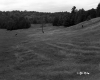 Vezina Property, Golf Course and Pasture