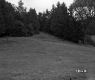 Vezina Property, Farm Fields and Forest