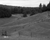 Vezina Property, Farm Fields