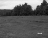 Vezina Property, Farm Fields and Forest