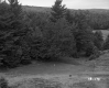 Vezina Property, Golf Course