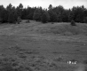 Vezina Property, Farm Fields and Forest