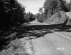 Annis Property, Trees along Highway