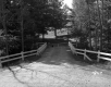 Annis Property, Girl and Dogs in Driveway