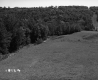 Annis Property, Field and Forest