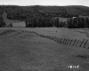 Annis Property, Field and Forest