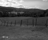 Annis Property, Farm Field