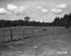 Annis Property, Farm Field