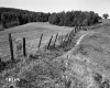 Annis Property, Farm Field