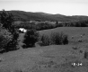 Hanson Property, Rolling Pasture