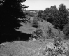 Hanson Property, Barn and Rolling Hills
