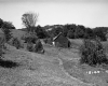 Hanson Property, Barn and Rolling Hills