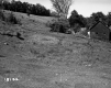 Hanson Property, Barn and Farm Fields