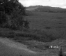 Vezina Property, Farm Fields