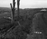 Vezina Property, Farm Fields along Dirt Road