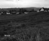 Vezina Property, Farm Fields