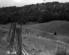Vezina Property, Farm Fields and Forest