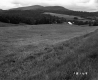 Vezina Property, Farm Fields