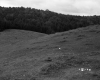 Vezina Property, Farm Fields and Forest