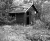 Vezina Property, Shed
