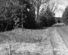 Simons Property, Forest along Highway