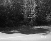 Simons Property, Forest on Highway