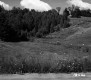 Foss and Kinsey Property, Farm Fields and Forest