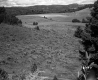 Foss and Kinsey Property, Farm Fields