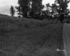 Eastman Property, Farm Field