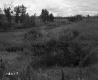 Eastman Property, Field and Railroad Tracks