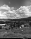 Barton Farmland