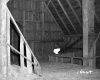 Vezina Farm, Interior of Barn