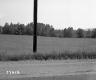 Field Next to Roadway